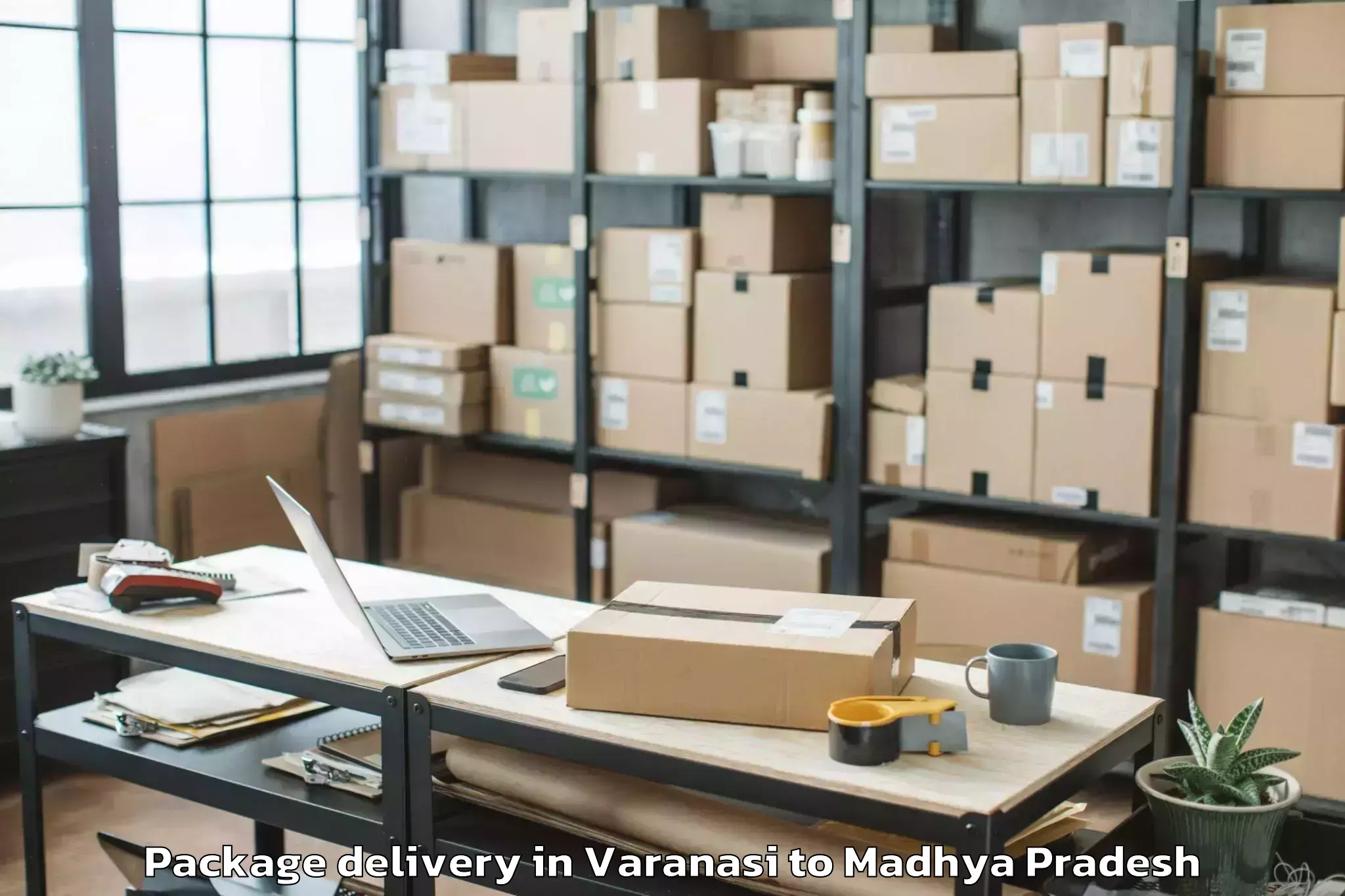 Trusted Varanasi to Mandav Package Delivery